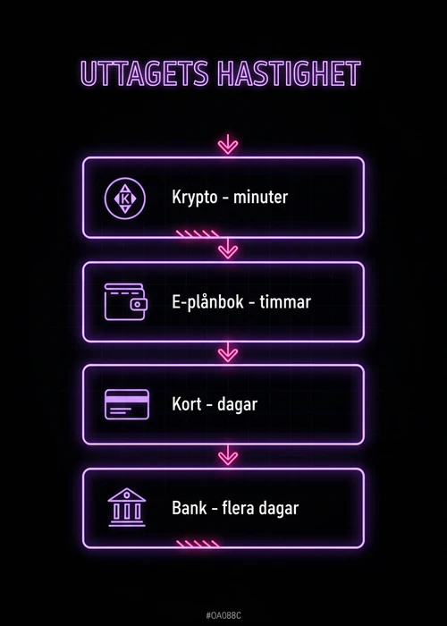 Diagram som visar snabba uttag från casinon utan Spelpaus
